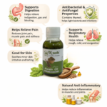 Untitled design – 2026-02-16T150410.004